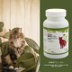 UroFelin Supplementary Feed for Cats, Pack of 180: Supports Normal Urinary Tract Function, Contains Goldenrod & Nasturtium, Can Help Regulate pH Value UroFelin Supplementary Feed for Cats, Pack of 180: Supports Normal Urinary Tract Function, Contains Goldenrod & Nasturtium, Can Help Regulate pH Value