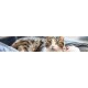 Virbac Feluro | Double Pack | 2 x 60 ml | Supplementary Feed for Cats | To Support the Healthy Maintenance of the Urinary Tract | For Cell Health in Oxidative Stress Virbac Feluro | Double Pack | 2 x 60 ml | Supplementary Feed for Cats | To Support the Healthy Maintenance of the Urinary Tract | For Cell Health in Oxidative Stress