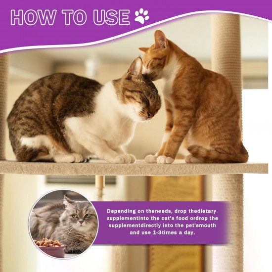 Vitamins Drops for Cats, Nutrients for Cats, Support for Metabolism & Immune System, Relieve a Cat's Bad Mood Vitamins Drops for Cats, Nutrients for Cats, Support for Metabolism & Immune System, Relieve a Cat's Bad Mood