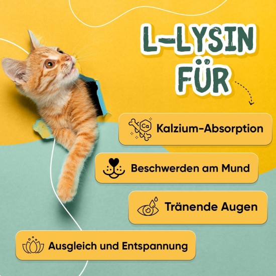 animigo L-Lysine for Cats - 250 g Powder - Pure Amino Acid Powder - For Cat Running, Immune System, Defences & Respiratory Tract - Includes Measuring Spoon - Vitamins for Cats - Alternative to Chew animigo L-Lysine for Cats - 250 g Powder - Pure Amino Acid Powder - For Cat Running, Immune System, Defences & Respiratory Tract - Includes Measuring Spoon - Vitamins for Cats - Alternative to Chew