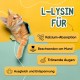 animigo L-Lysine for Cats - 250 g Powder - Pure Amino Acid Powder - For Cat Running, Immune System, Defences & Respiratory Tract - Includes Measuring Spoon - Vitamins for Cats - Alternative to Chew animigo L-Lysine for Cats - 250 g Powder - Pure Amino Acid Powder - For Cat Running, Immune System, Defences & Respiratory Tract - Includes Measuring Spoon - Vitamins for Cats - Alternative to Chew
