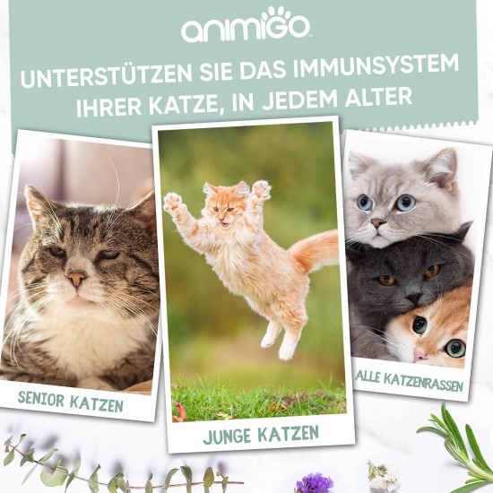 animigo L-Lysine for Cats - 250 g Powder - Pure Amino Acid Powder - For Cat Running, Immune System, Defences & Respiratory Tract - Includes Measuring Spoon - Vitamins for Cats - Alternative to Chew animigo L-Lysine for Cats - 250 g Powder - Pure Amino Acid Powder - For Cat Running, Immune System, Defences & Respiratory Tract - Includes Measuring Spoon - Vitamins for Cats - Alternative to Chew