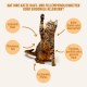 ivvi Skin & Fur Essence for Cats - Snack Snack with Salmon Oil, Algae Oil, Zinc & Collagen - Supports Skin & Coat - 30 x 15 g - with Real Tuna ivvi Skin & Fur Essence for Cats - Snack Snack with Salmon Oil, Algae Oil, Zinc & Collagen - Supports Skin & Coat - 30 x 15 g - with Real Tuna