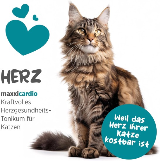 maxxipaws maxxicardio Heart and Circulatory Supplementary Feed in Powder Form for Cats 90 g maxxipaws maxxicardio Heart and Circulatory Supplementary Feed in Powder Form for Cats 90 g