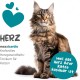 maxxipaws maxxicardio Heart and Circulatory Supplementary Feed in Powder Form for Cats 90 g maxxipaws maxxicardio Heart and Circulatory Supplementary Feed in Powder Form for Cats 90 g