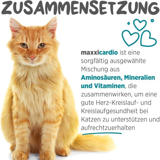 maxxipaws maxxicardio Heart and Circulatory Supplementary Feed in Powder Form for Cats 90 g maxxipaws maxxicardio Heart and Circulatory Supplementary Feed in Powder Form for Cats 90 g