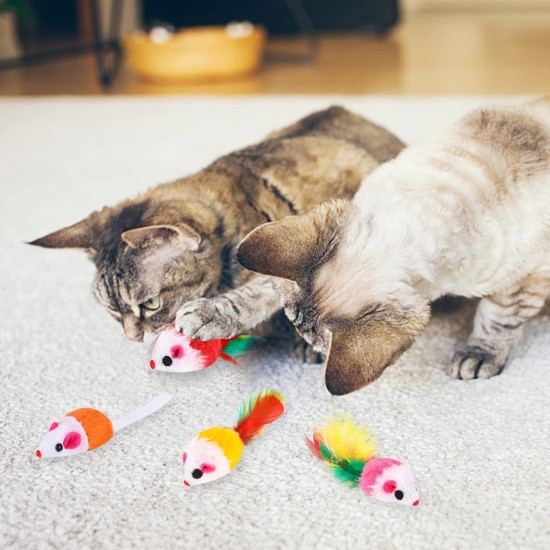 18 Pieces Cat Toy Mouse Toy Mouse for Cats Mice Rattles Small Mouse Catnip Toy with Feather Tail Fur Interactive Cat Toy Mixed Cat Plush Mouse Toy 18 Pieces Cat Toy Mouse Toy Mouse for Cats Mice Rattles Small Mouse Catnip Toy with Feather Tail Fur Interactive Cat Toy Mixed Cat Plush Mouse Toy