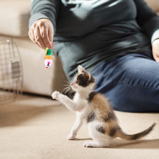 18 Pieces Cat Toy Mouse Toy Mouse for Cats Mice Rattles Small Mouse Catnip Toy with Feather Tail Fur Interactive Cat Toy Mixed Cat Plush Mouse Toy 18 Pieces Cat Toy Mouse Toy Mouse for Cats Mice Rattles Small Mouse Catnip Toy with Feather Tail Fur Interactive Cat Toy Mixed Cat Plush Mouse Toy