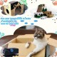 3D Printed Cardboard Cutter, Cat Scratching Cardboard Cutter, DIY Cat Scratcher Cardboard Cutter Tool, Cat Scratcher Cutting Machine Paper, Printed Cardboard Cutter, for Cat Lovers 3D Printed Cardboard Cutter, Cat Scratching Cardboard Cutter, DIY Cat Scratcher Cardboard Cutter Tool, Cat Scratcher Cutting Machine Paper, Printed Cardboard Cutter, for Cat Lovers