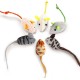 6 Pieces Cat Toy, Real Fur Toy Mouse, Fur Mouse Toy, Catnip Mouse for Cats Kitty 6 Pieces Cat Toy, Real Fur Toy Mouse, Fur Mouse Toy, Catnip Mouse for Cats Kitty
