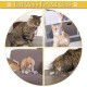 6 Pieces Cat Toy, Real Fur Toy Mouse, Fur Mouse Toy, Catnip Mouse for Cats Kitty 6 Pieces Cat Toy, Real Fur Toy Mouse, Fur Mouse Toy, Catnip Mouse for Cats Kitty