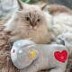 ALL FOR PAWS Heartbeat Cat Soothing Toy Heartbeat Kitty Stuffed Plush Warm Toy for Cats Comfort Kitty Stress Relief and Sleep Aid ALL FOR PAWS Heartbeat Cat Soothing Toy Heartbeat Kitty Stuffed Plush Warm Toy for Cats Comfort Kitty Stress Relief and Sleep Aid