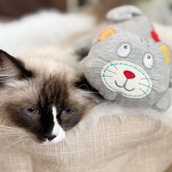 ALL FOR PAWS Heartbeat Cat Soothing Toy Heartbeat Kitty Stuffed Plush Warm Toy for Cats Comfort Kitty Stress Relief and Sleep Aid ALL FOR PAWS Heartbeat Cat Soothing Toy Heartbeat Kitty Stuffed Plush Warm Toy for Cats Comfort Kitty Stress Relief and Sleep Aid