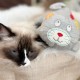 ALL FOR PAWS Heartbeat Cat Soothing Toy Heartbeat Kitty Stuffed Plush Warm Toy for Cats Comfort Kitty Stress Relief and Sleep Aid ALL FOR PAWS Heartbeat Cat Soothing Toy Heartbeat Kitty Stuffed Plush Warm Toy for Cats Comfort Kitty Stress Relief and Sleep Aid