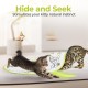 ALL FOR PAWS Interactive Cat Flutter Bug Refil, Pack of 6 ALL FOR PAWS Interactive Cat Flutter Bug Refil, Pack of 6