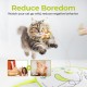 ALL FOR PAWS Interactive Cat Flutter Bug Refil, Pack of 6 ALL FOR PAWS Interactive Cat Flutter Bug Refil, Pack of 6