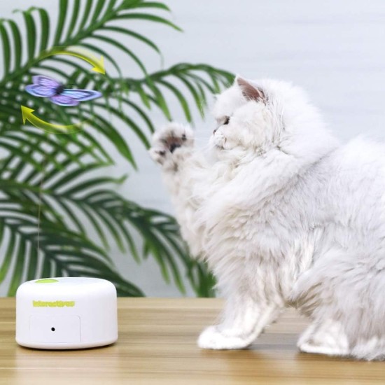 ALL FOR PAWS Interactive Cat Flutter Bug Refil, Pack of 6 ALL FOR PAWS Interactive Cat Flutter Bug Refil, Pack of 6