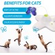 ALL FOR PAWS Interactive Cat Flutter Bug Refil, Pack of 6 ALL FOR PAWS Interactive Cat Flutter Bug Refil, Pack of 6