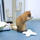 ALL FOR PAWS Interactive Cat Flutter Bug Refil, Pack of 6 ALL FOR PAWS Interactive Cat Flutter Bug Refil, Pack of 6