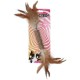 Addicted Stick with caterpillar and feathers Addicted Stick with caterpillar and feathers
