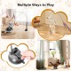 AiQInu Pack of 4 Interactive Cat Toy, Suction Cup, 1 Cat Fishing Rod with 2 Bells Birds, Intelligence Toy for Cats, Wand AiQInu Pack of 4 Interactive Cat Toy, Suction Cup, 1 Cat Fishing Rod with 2 Bells Birds, Intelligence Toy for Cats, Wand