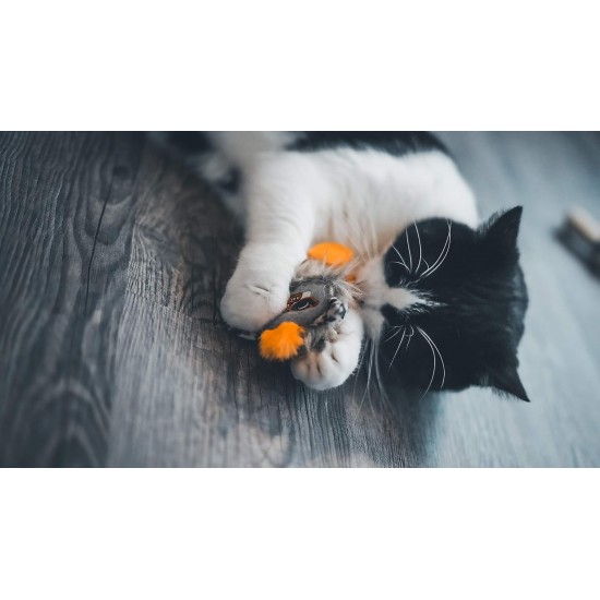 Aime Cat Toy Interactive Playful Sound Level Built-in Cat Toy Leopard Head 8cm Aime Cat Toy Interactive Playful Sound Level Built-in Cat Toy Leopard Head 8cm