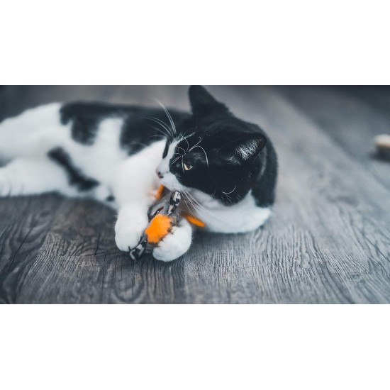 Aime Cat Toy Interactive Playful Sound Level Built-in Cat Toy Leopard Head 8cm Aime Cat Toy Interactive Playful Sound Level Built-in Cat Toy Leopard Head 8cm