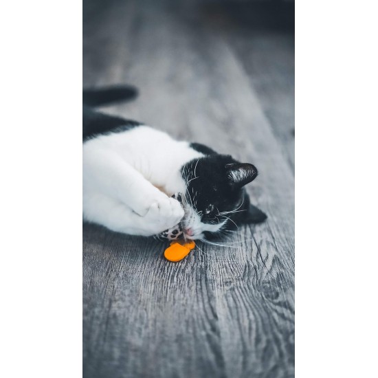 Aime Cat Toy Interactive Playful Sound Level Built-in Cat Toy Leopard Head 8cm Aime Cat Toy Interactive Playful Sound Level Built-in Cat Toy Leopard Head 8cm