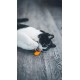 Aime Cat Toy Interactive Playful Sound Level Built-in Cat Toy Leopard Head 8cm Aime Cat Toy Interactive Playful Sound Level Built-in Cat Toy Leopard Head 8cm