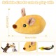 Ayizhiniu Magic Mouse Cat, Cat Toy Mouse, Interactive Toy for Cats, Cat Toy Mouse with Feather Tail, Applies to Cats Playing Toy Mouse Ayizhiniu Magic Mouse Cat, Cat Toy Mouse, Interactive Toy for Cats, Cat Toy Mouse with Feather Tail, Applies to Cats Playing Toy Mouse