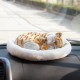 Bagima Sleeping Cat Toy, Breathing Cat, Stuffed Animal Doll with Mat, Plush Toys for Children, Home Decoration, Soft Mat, Bed and Simulated Sound (2) Bagima Sleeping Cat Toy, Breathing Cat, Stuffed Animal Doll with Mat, Plush Toys for Children, Home Decoration, Soft Mat, Bed and Simulated Sound (2)