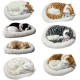 Bagima Sleeping Cat Toy, Breathing Cat, Stuffed Animal Doll with Mat, Plush Toys for Children, Home Decoration, Soft Mat, Bed and Simulated Sound (2) Bagima Sleeping Cat Toy, Breathing Cat, Stuffed Animal Doll with Mat, Plush Toys for Children, Home Decoration, Soft Mat, Bed and Simulated Sound (2)
