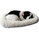 Bagima Sleeping Cat Toy, Breathing Cat, Stuffed Animal Doll with Mat, Plush Toys for Children, Home Decoration, Soft Mat, Bed and Simulated Sound (3) Bagima Sleeping Cat Toy, Breathing Cat, Stuffed Animal Doll with Mat, Plush Toys for Children, Home Decoration, Soft Mat, Bed and Simulated Sound (3)