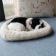 Bagima Sleeping Cat Toy, Breathing Cat, Stuffed Animal Doll with Mat, Plush Toys for Children, Home Decoration, Soft Mat, Bed and Simulated Sound (3) Bagima Sleeping Cat Toy, Breathing Cat, Stuffed Animal Doll with Mat, Plush Toys for Children, Home Decoration, Soft Mat, Bed and Simulated Sound (3)