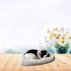 Bagima Sleeping Cat Toy, Breathing Cat, Stuffed Animal Doll with Mat, Plush Toys for Children, Home Decoration, Soft Mat, Bed and Simulated Sound (3) Bagima Sleeping Cat Toy, Breathing Cat, Stuffed Animal Doll with Mat, Plush Toys for Children, Home Decoration, Soft Mat, Bed and Simulated Sound (3)