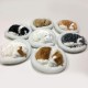 Bagima Sleeping Cat Toy, Breathing Cat, Stuffed Animal Doll with Mat, Plush Toys for Children, Home Decoration, Soft Mat, Bed and Simulated Sound (3) Bagima Sleeping Cat Toy, Breathing Cat, Stuffed Animal Doll with Mat, Plush Toys for Children, Home Decoration, Soft Mat, Bed and Simulated Sound (3)