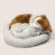 Bagima Sleeping Cat Toy, Breathing Cat, Stuffed Animal Doll with Mat, Plush Toys for Children, Home Decoration, Soft Mat, Bed and Simulated Sound (3) Bagima Sleeping Cat Toy, Breathing Cat, Stuffed Animal Doll with Mat, Plush Toys for Children, Home Decoration, Soft Mat, Bed and Simulated Sound (3)