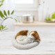 Bagima Sleeping Cat Toy, Breathing Cat, Stuffed Animal Doll with Mat, Plush Toys for Children, Home Decoration, Soft Mat, Bed and Simulated Sound (3) Bagima Sleeping Cat Toy, Breathing Cat, Stuffed Animal Doll with Mat, Plush Toys for Children, Home Decoration, Soft Mat, Bed and Simulated Sound (3)