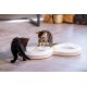 Beeztees Kitten Agty Play Rail - Cat Toy - Plastic - White Beeztees Kitten Agty Play Rail - Cat Toy - Plastic - White