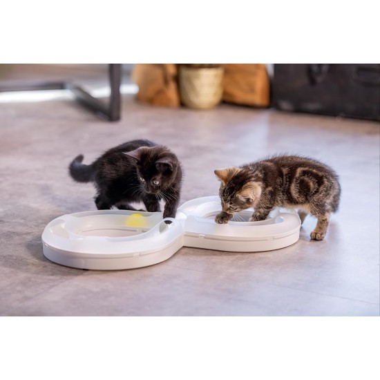 Beeztees Kitten Agty Play Rail - Cat Toy - Plastic - White Beeztees Kitten Agty Play Rail - Cat Toy - Plastic - White