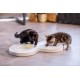 Beeztees Kitten Agty Play Rail - Cat Toy - Plastic - White Beeztees Kitten Agty Play Rail - Cat Toy - Plastic - White