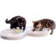 Beeztees Kitten Agty Play Rail - Cat Toy - Plastic - White Beeztees Kitten Agty Play Rail - Cat Toy - Plastic - White