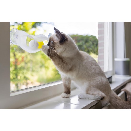 Beeztees Kitten Windo Play Rail - Cat Toy - Plastic - White Beeztees Kitten Windo Play Rail - Cat Toy - Plastic - White