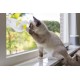 Beeztees Kitten Windo Play Rail - Cat Toy - Plastic - White Beeztees Kitten Windo Play Rail - Cat Toy - Plastic - White