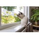 Beeztees Kitten Windo Play Rail - Cat Toy - Plastic - White Beeztees Kitten Windo Play Rail - Cat Toy - Plastic - White