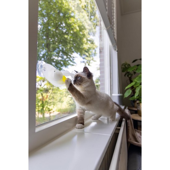 Beeztees Kitten Windo Play Rail - Cat Toy - Plastic - White Beeztees Kitten Windo Play Rail - Cat Toy - Plastic - White