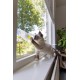Beeztees Kitten Windo Play Rail - Cat Toy - Plastic - White Beeztees Kitten Windo Play Rail - Cat Toy - Plastic - White