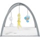 Beeztees Kitten Xabia Play Mat - Cat Toy - Grey - 40 x 40 x 33 cm Beeztees Kitten Xabia Play Mat - Cat Toy - Grey - 40 x 40 x 33 cm