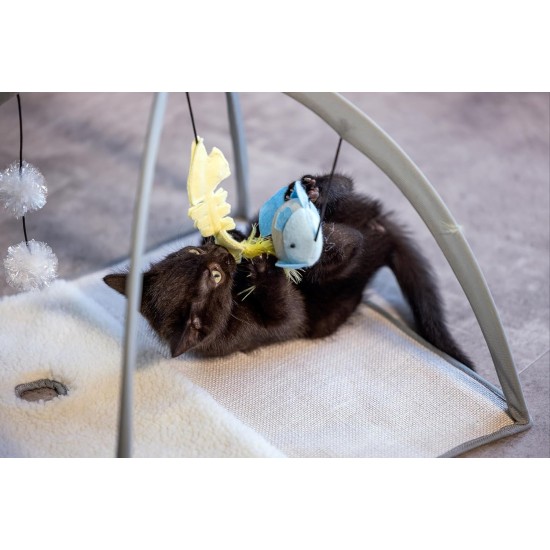 Beeztees Kitten Xabia Play Mat - Cat Toy - Grey - 40 x 40 x 33 cm Beeztees Kitten Xabia Play Mat - Cat Toy - Grey - 40 x 40 x 33 cm