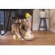 Beeztees Sapi Cat Toy, Interactive, Plastic, 19 x 19 x 48 cm Beeztees Sapi Cat Toy, Interactive, Plastic, 19 x 19 x 48 cm